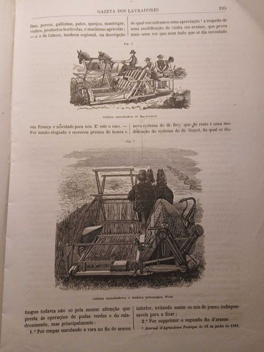 Gazeta dos Lavradores, Julho de 1881