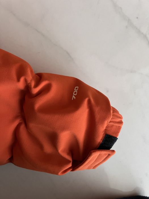 Gucci the north face