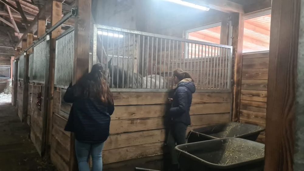 Pensjonat hotel dla koni. Wolny boks