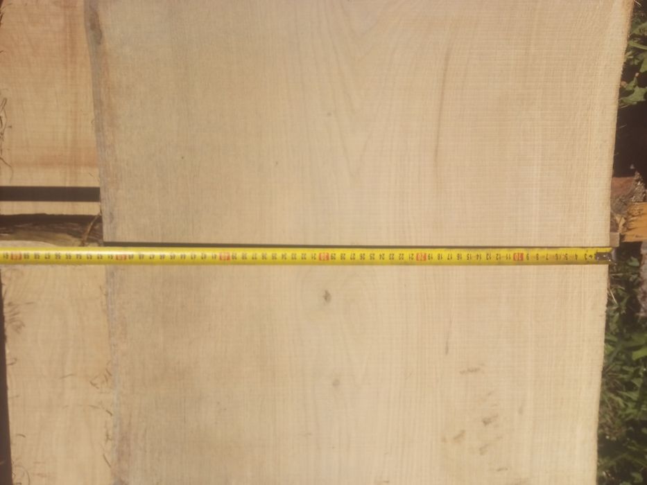 Foszty dębowe świeże ciente