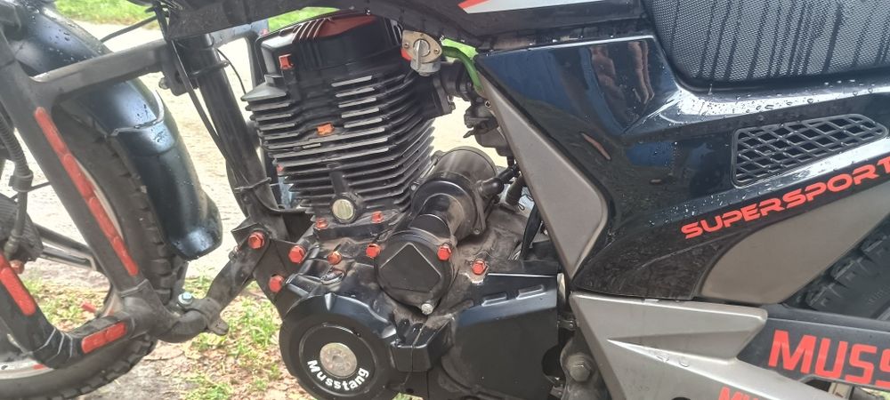 Musstang Region MT200-8