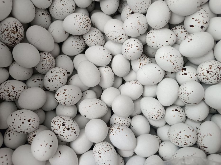 Шоколадні цукерки