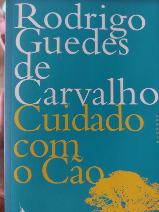 Vários livros novos