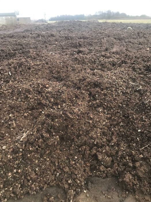 Obornik kurzy  [Kurzak]