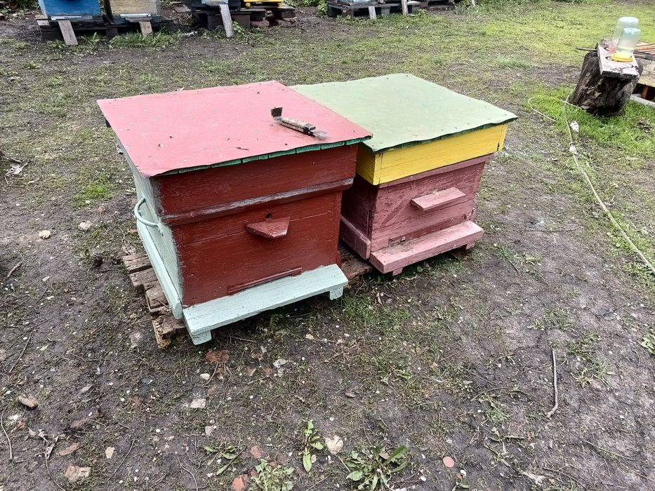 УЛЬИ 12-рамочные додан. Весной ПЧЕЛОПАКЕТЫ с ульями.Продам.