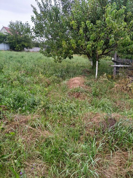 Продам земельну ділянку у Вінниці