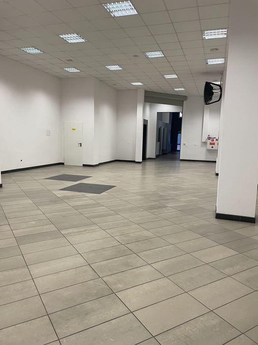 Wynajmę bezpośrednio lokal usługowo-handlowy 270m2 centrum Włocławka