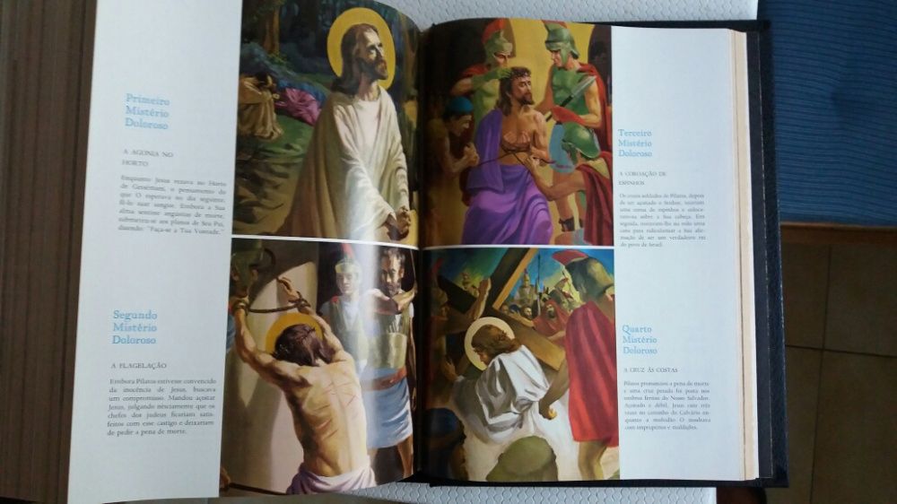 Bíblia sagrada com ilustrações - Debruada a ouro