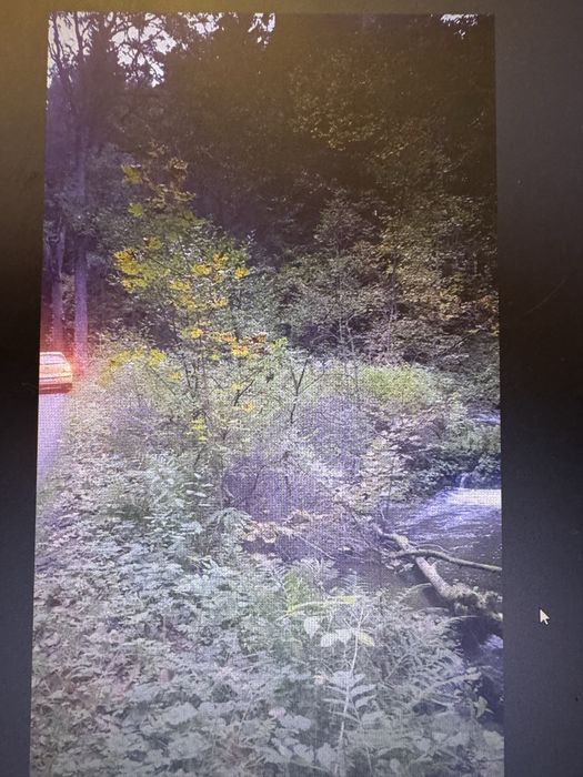 sprzedam działkę  600m Potoczek gmina Międzylesie Nysa Kłodzka