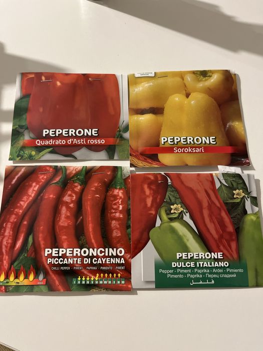 Sadzonki papryki