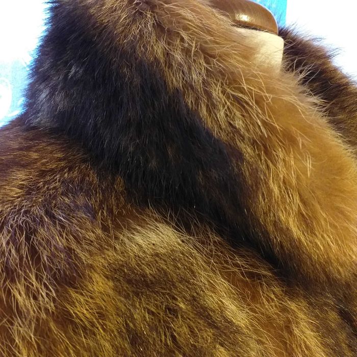 Casaco Genuíno Raposa