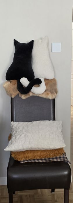 Koty (biały  lub czarny) maskotki