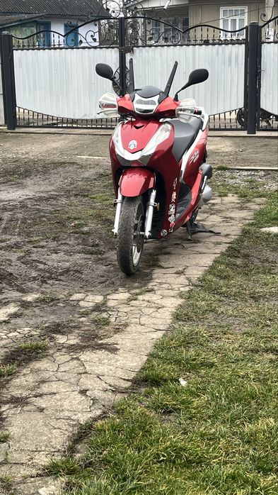 Honda sh 300 хонда сш 300