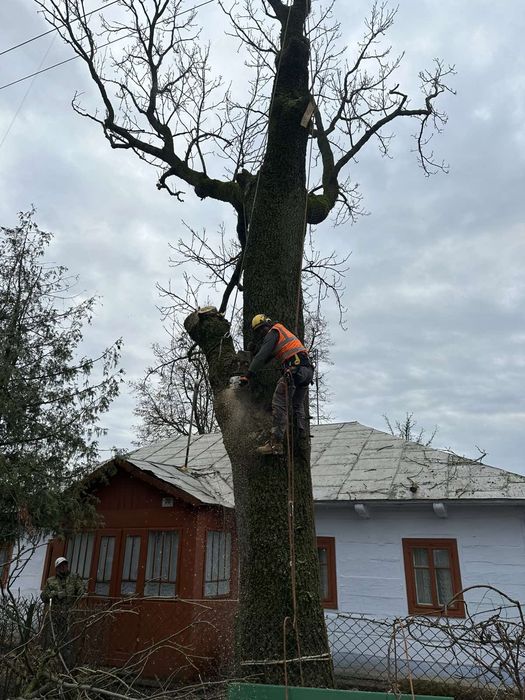 Рубаю дрова дровоколом