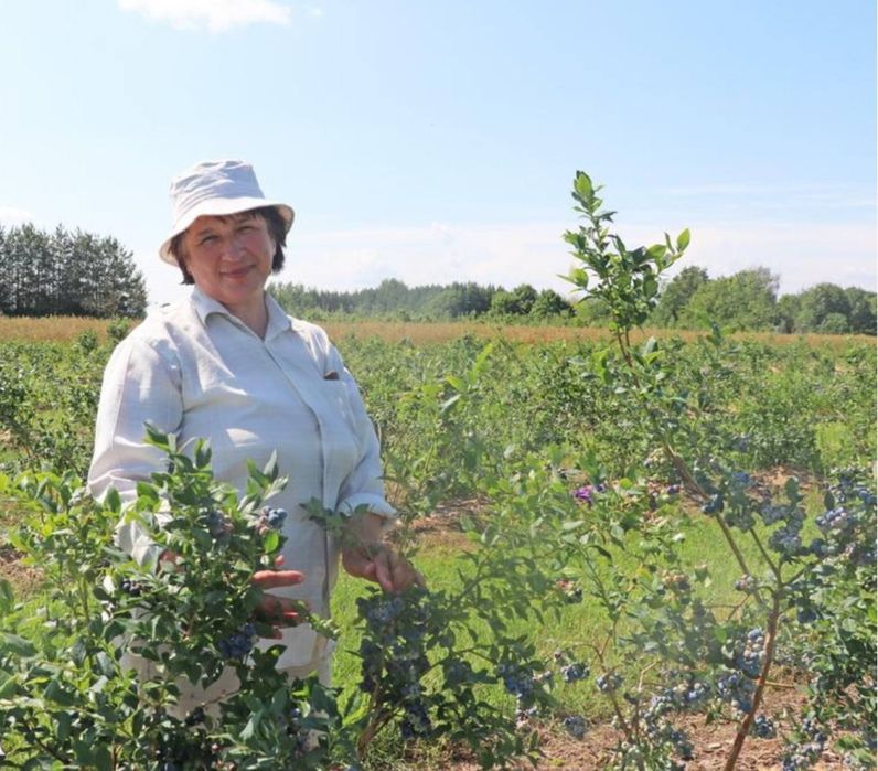 Лохина 3 роки, плодоносить