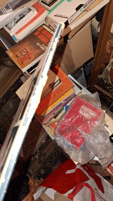 Simon and Garfunkel concert central park