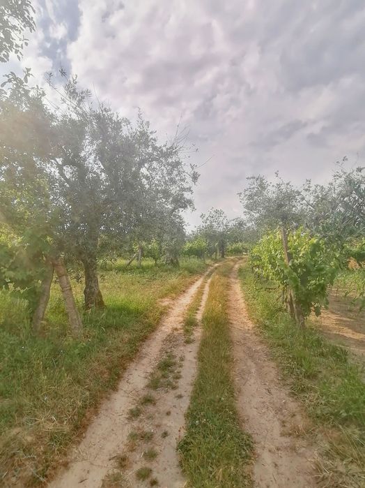 Oportunidade de investimento - Moradia inserida em lote de 14.585m2