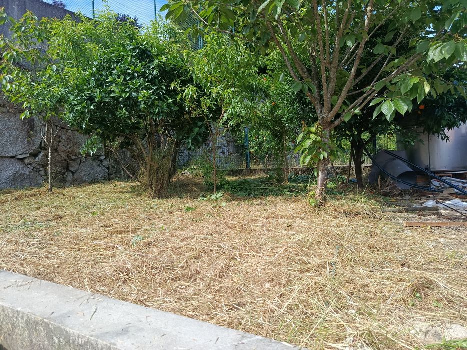 Limpeza de terrenos