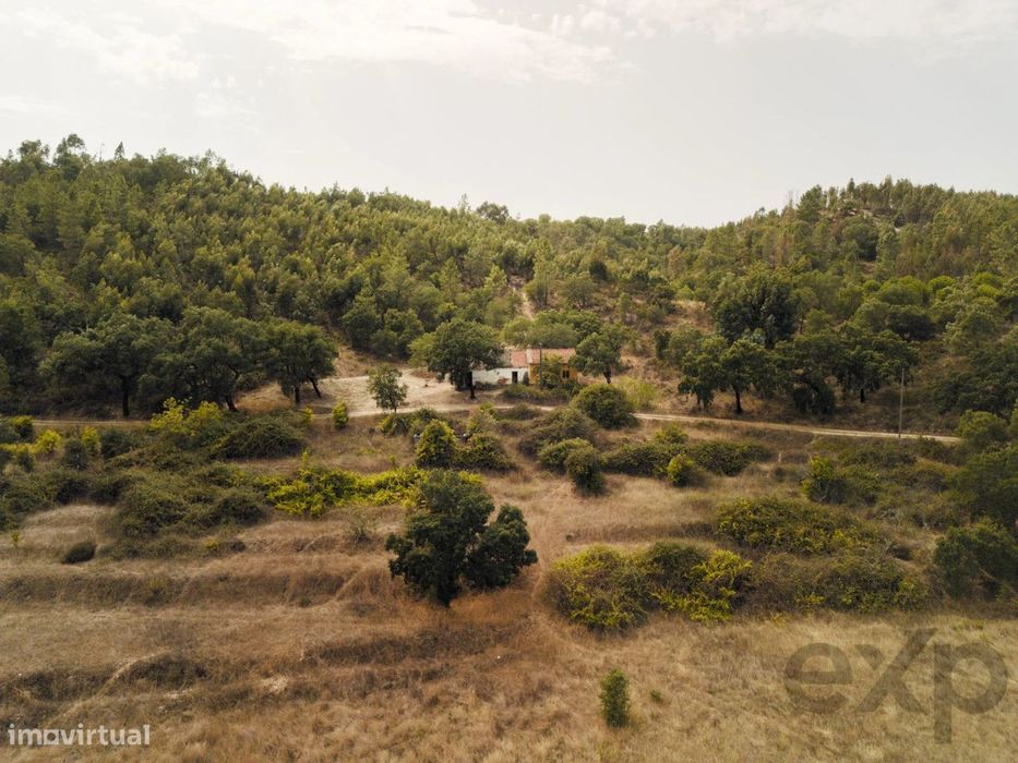 Quinta Florestal de 12,5 Hectares com Casa de Lavrador Centenária em B