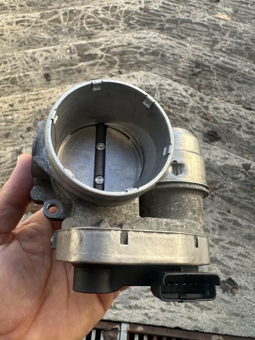 Borboleta peugeot 407