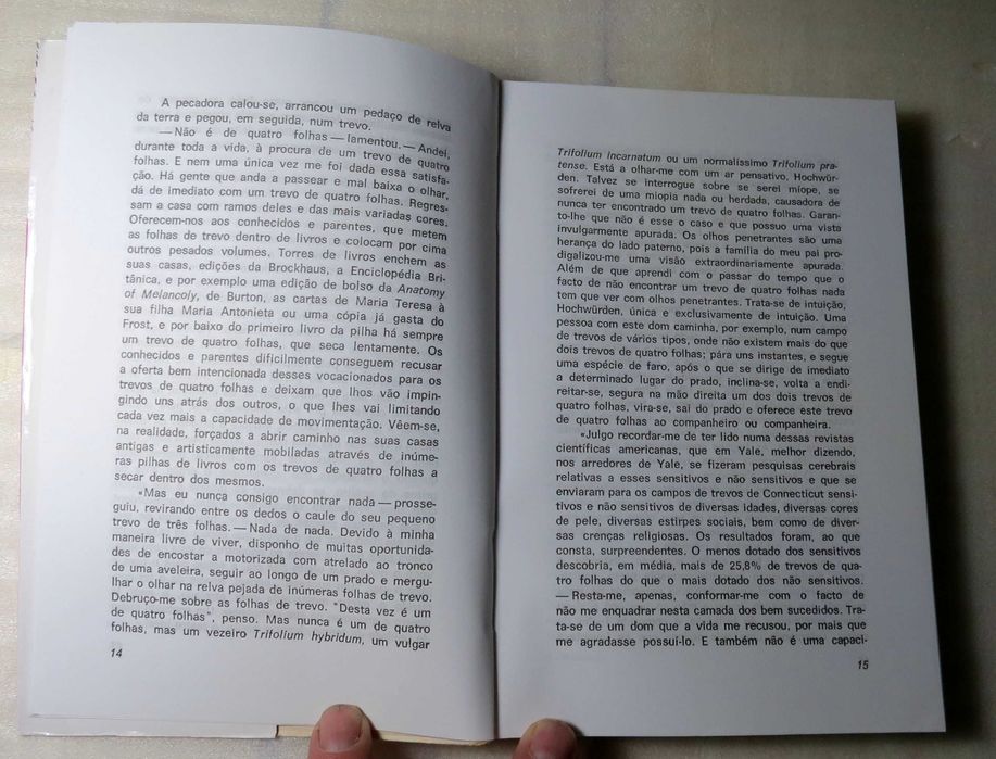 Livro Madalena - A Pecadora