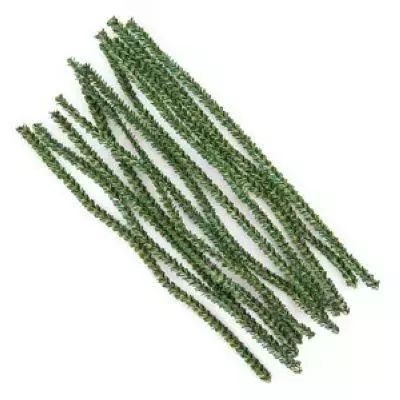 Druciki kreatywne 30cm sosna 12szt. Dalprint