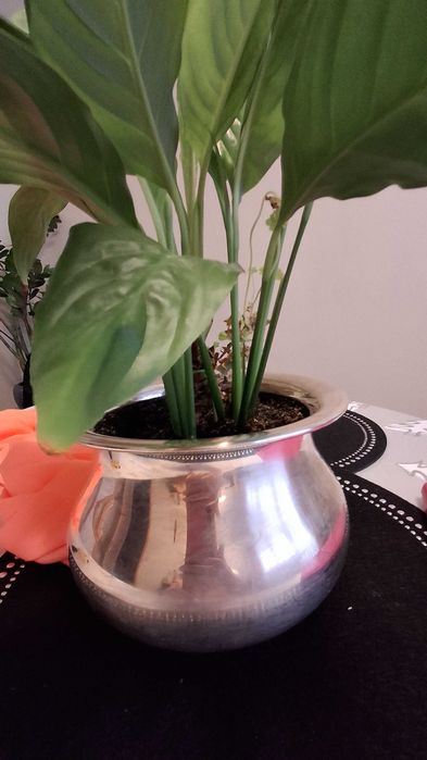 Platerowana waza- osłonka  firma Edzard (