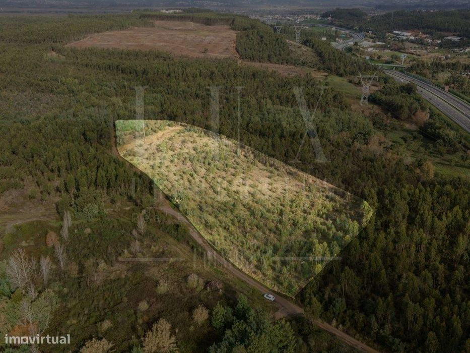 Terreno | Quinta do Acipreste, Antanhol