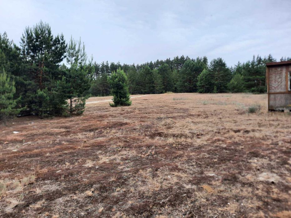Продаж земельної ділянки з виходом до лісу, Вища Дубечня