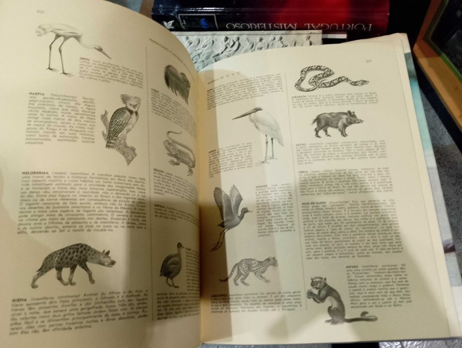 Maravilhas e Mistérios do Mundo Animal - Seleções do Reader's Digest