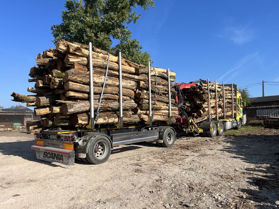 Drewno opałowe / kominkowe Transport Gratis