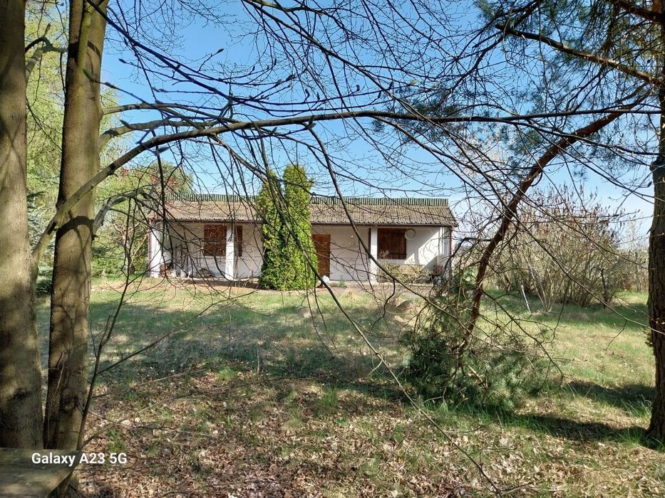 Działka Łężki 2500m2 plus Dom 100m2