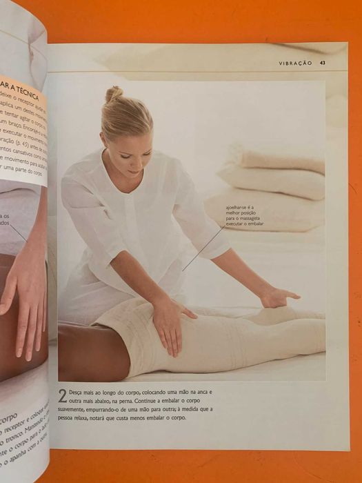 Massagem: mente e corpo - Larry Costa