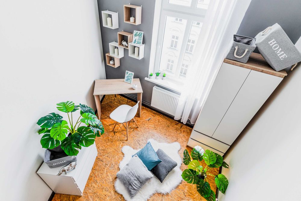 Apartment in Poznań, Grunwald, Łazarz - Widok 4