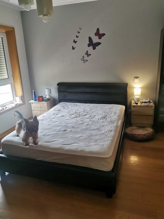 Cama com colchão Pikolin