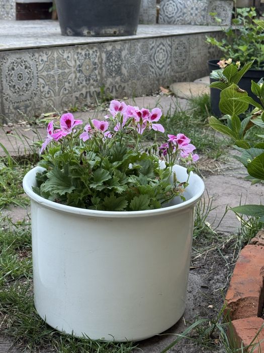 Donice  ceramiczne