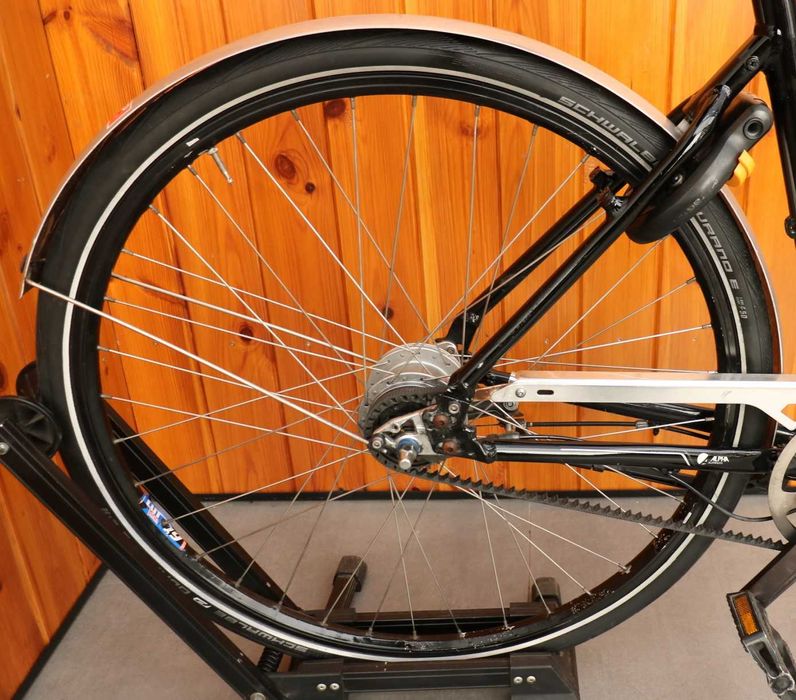 Rower damski Trek Dublin. D 53 Na pasku