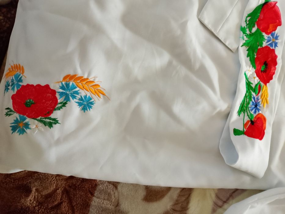 Вишите плаття,сукня