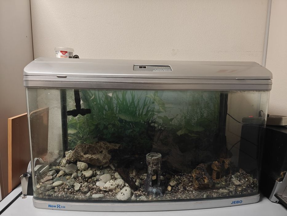 Акваріум JEBO R3100 - 250 л. 100*48*52 см.