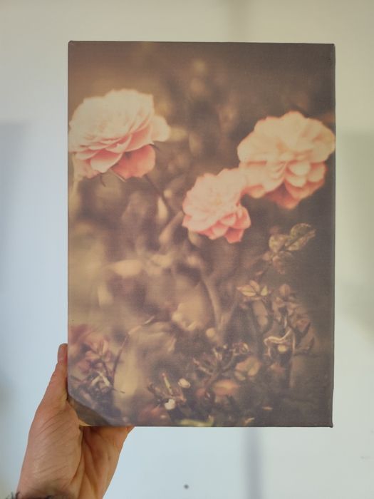 Telas canvas impressas