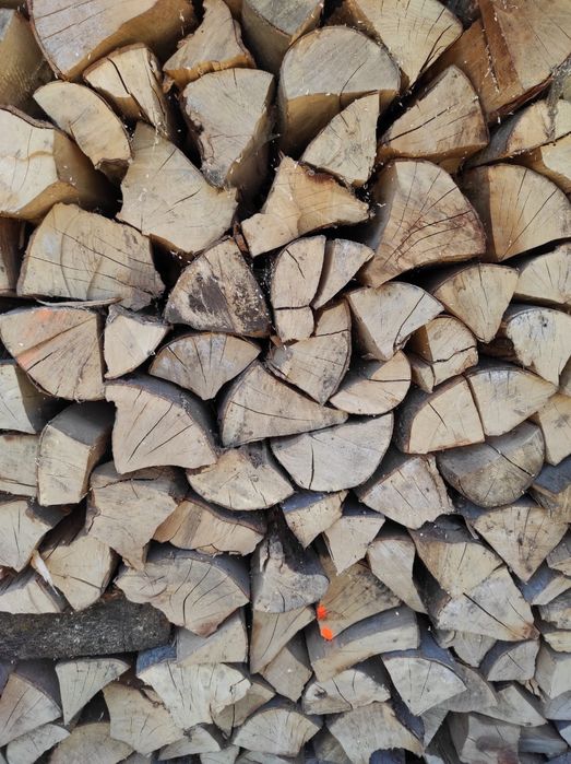 Drewno drzewo opałowe kominkowe opał suche transport