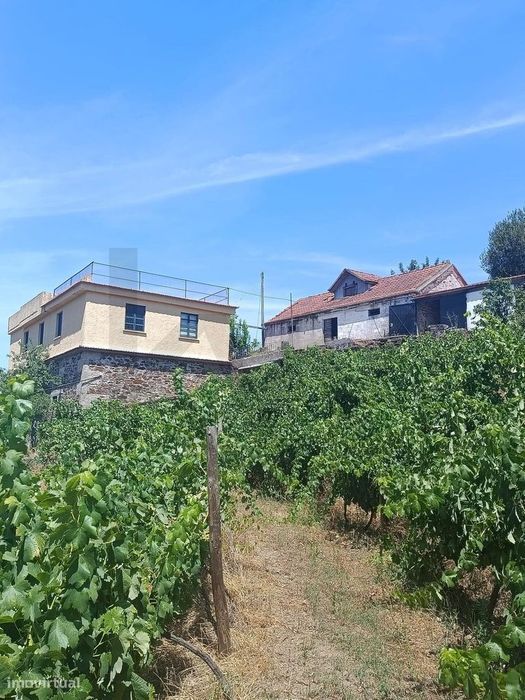 Quinta de Charme no Coração do Douro – Uma Oportunidade Única