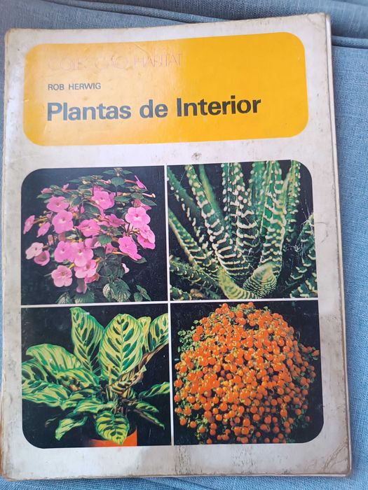 Livro antigo,plantas de interior