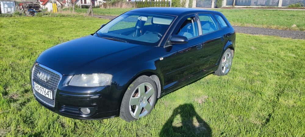 Audi A3 8P 1.6LPG