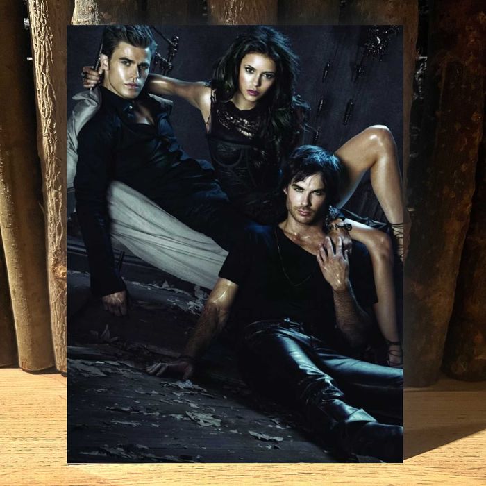 The Vampire Diaries - Pamiętniki wampirów metalowy obrazek