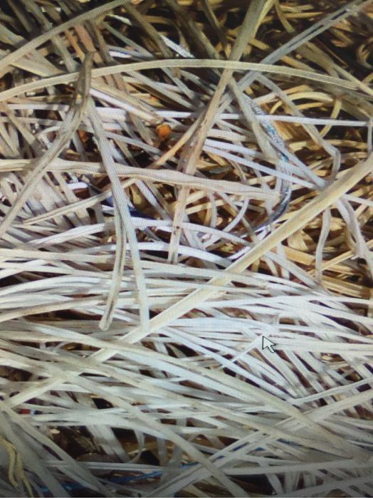 Полиэтилен,ПВХ, пластик