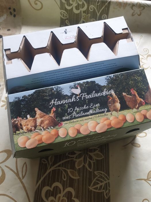 Wytłaczanki na jajka kartonowe 16 szt.