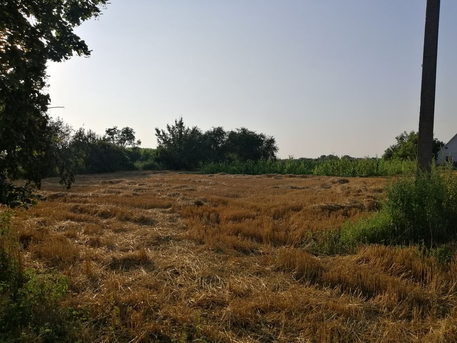 Продам дві суміжні земельні ділянки 0.23+0.27=0.50га. м.Яготин 4км.від