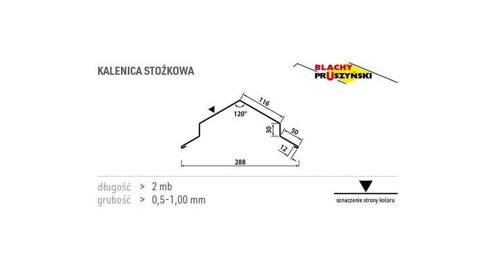 Kalenica stożkowa 2mb