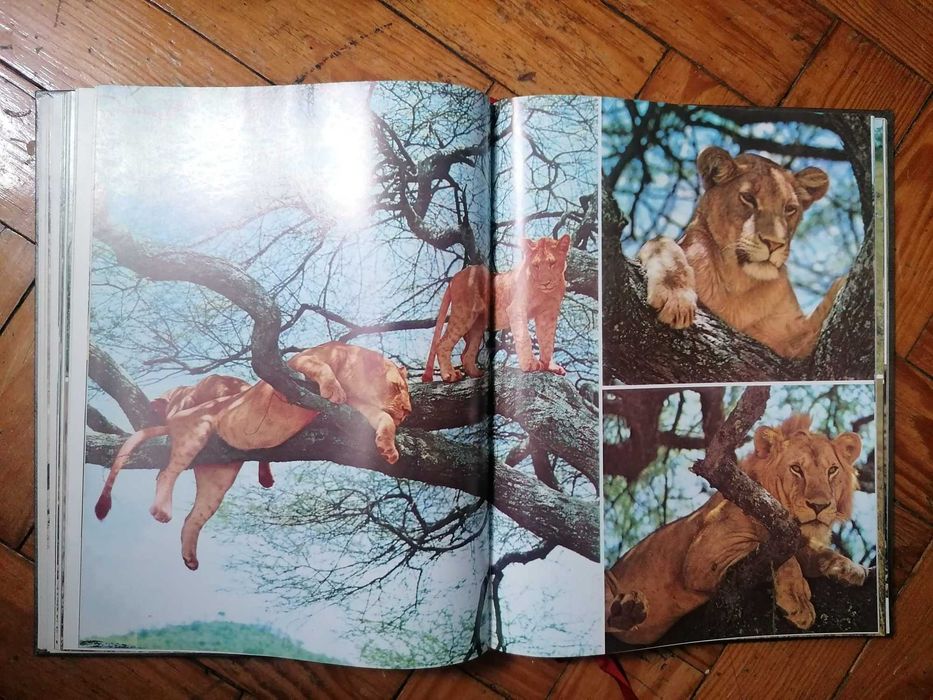 Enciclopédia A Fauna, 11 volumes